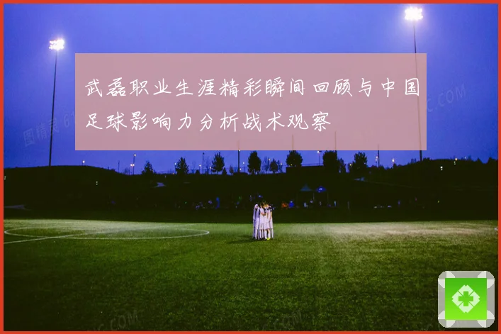 武磊职业生涯精彩瞬间回顾与中国足球影响力分析战术观察