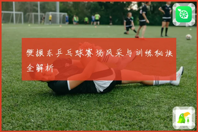 樊振东乒乓球赛场风采与训练秘诀全解析