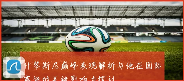 什琴斯尼巅峰表现解析与他在国际赛场的关键影响力探讨